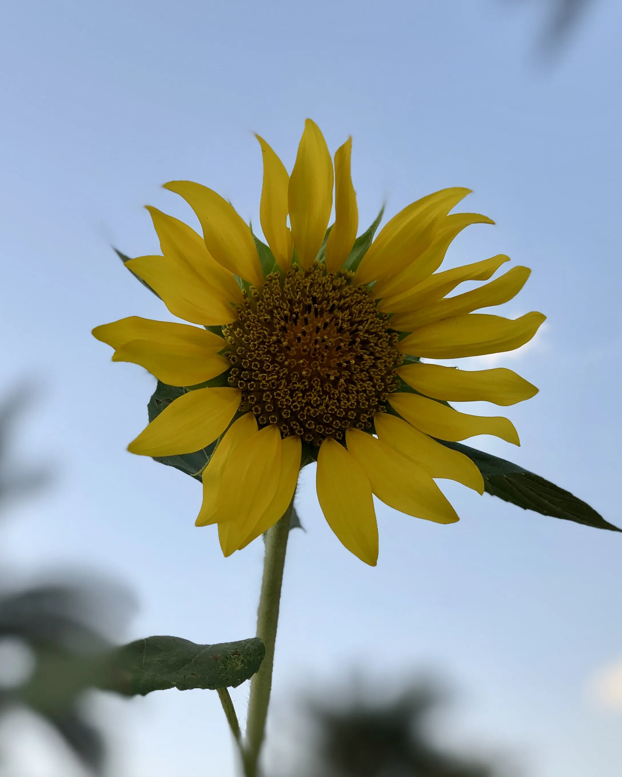 All Photography