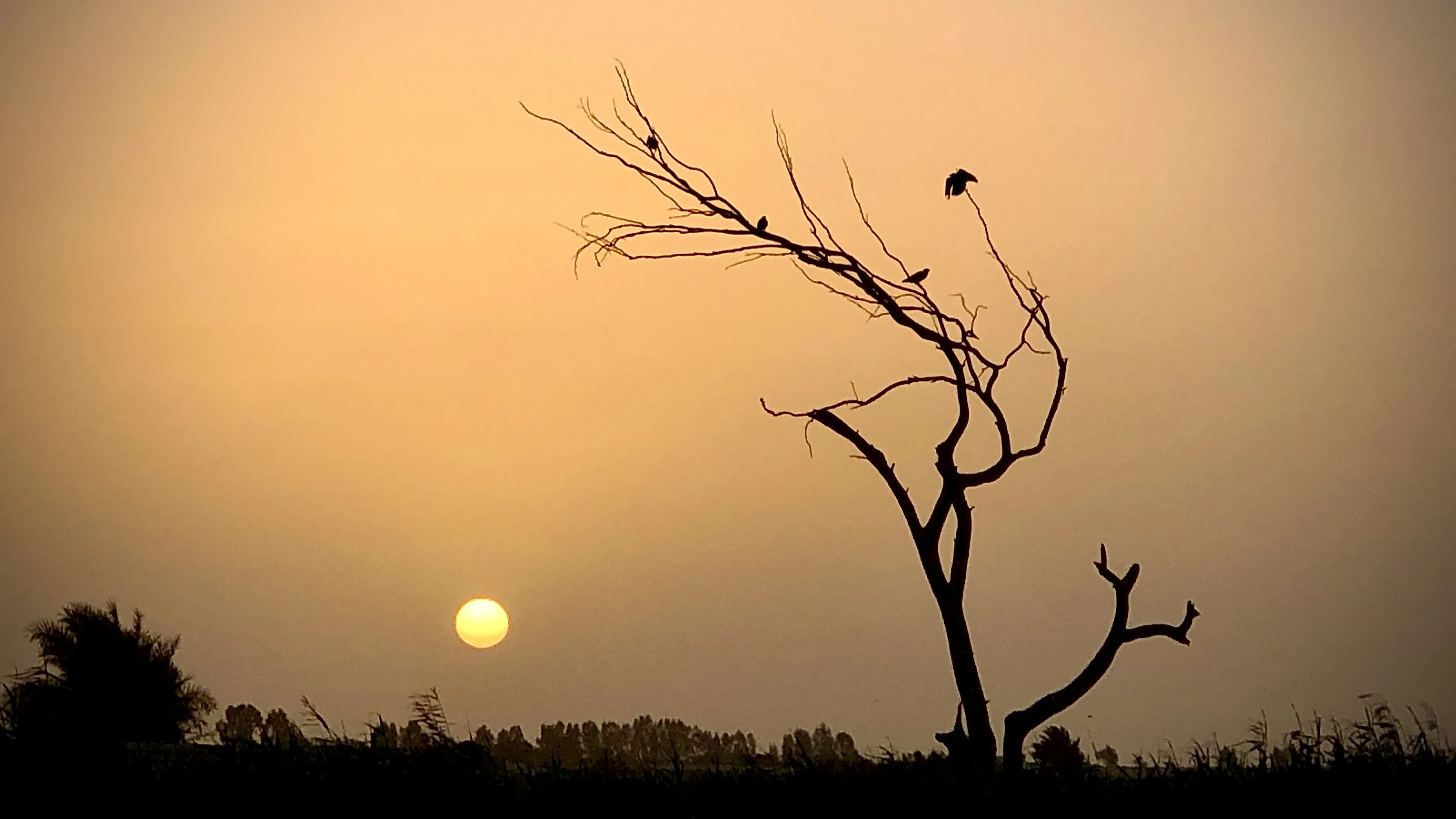 All Photography